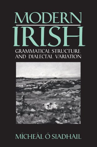 Modern Irish: Grammatical Structure and Dialectal Variation (Cambridge Studies in Linguistics) Siadhail, Mícheál O. [Used - Good] [Softcover]