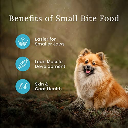 Blue Buffalo Wilderness Natural High-Protein  Small-Bite Dry Food for Adult Dogs  Chicken  28-lb Bag thumbnail