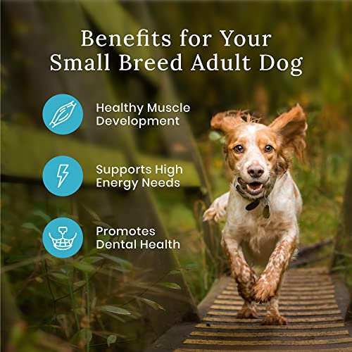 Blue Buffalo Wilderness Small Breed Dry Dog Food Plus Wholesome Grains  Chicken 4.5 Lbs thumbnail