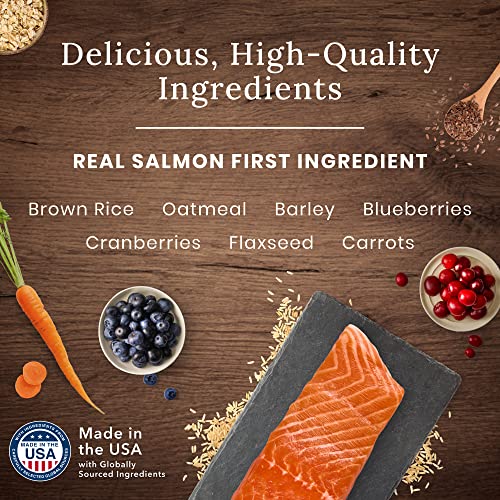 Blue Buffalo Wilderness Natural High-Protein Adult Dog Dry Food  Salmon Recipe  4.5-lb thumbnail