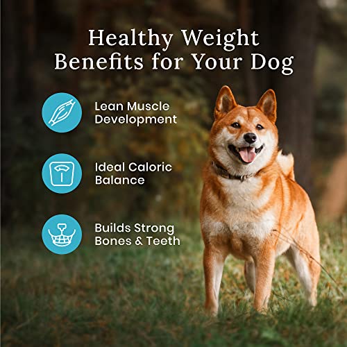 Blue Buffalo Wilderness Rocky Mountain Recipe Healthy Weight Dry Dog Food  Red Meat  28-lb thumbnail