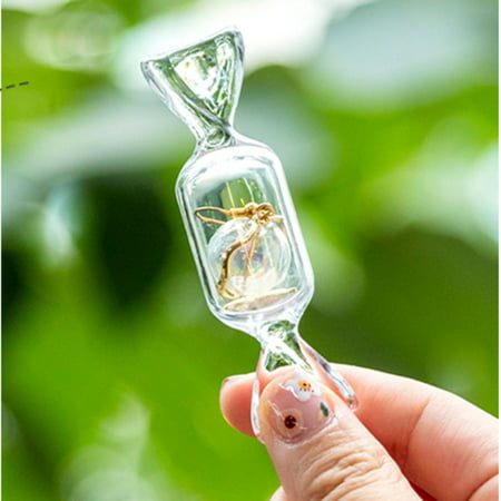 Usupdd New Candy Shape Storage Box Transparent Cute Earrings Ring Jewelry Box Usupdd WBB220817-2554
