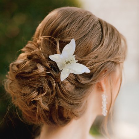 Usupdd Hair Clip French Color Butterfly Hair Scratch Plate Hair Clip Usupdd WAA220815-4719