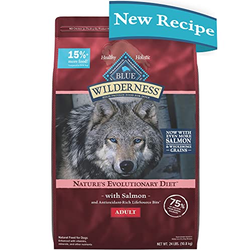 Blue Buffalo Wilderness Natural High-Protein Adult Dog Dry Food  Salmon Recipe  24 Lb