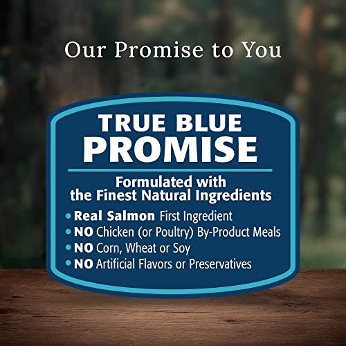 Blue Buffalo Wilderness Natural High-Protein Adult Dog Dry Food  Salmon Recipe  24 Lb thumbnail