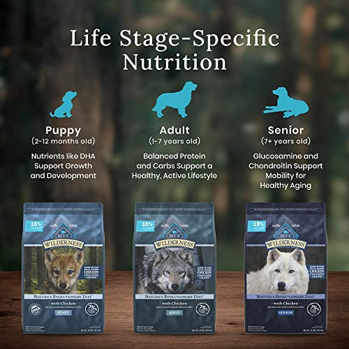 Blue Buffalo Wilderness Natural High-Protein Adult Dog Dry Food  Salmon Recipe  13-lb thumbnail