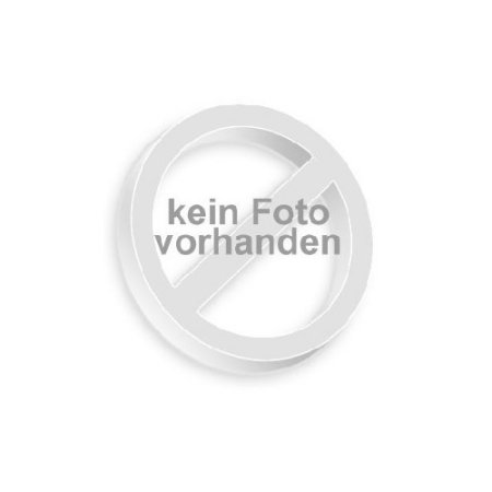 Wheels, 5-spoke (chrome) (front) (2)
