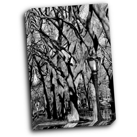 Central Park Image 1744 16x20 Gallery Wrapped Stretched Canvas
