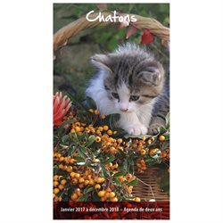 Chatons 2 Year Pocket Planner (french) by Wyman Publishing