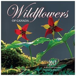 Wildflowers of Canada Wall Calendar by Wyman Publishing