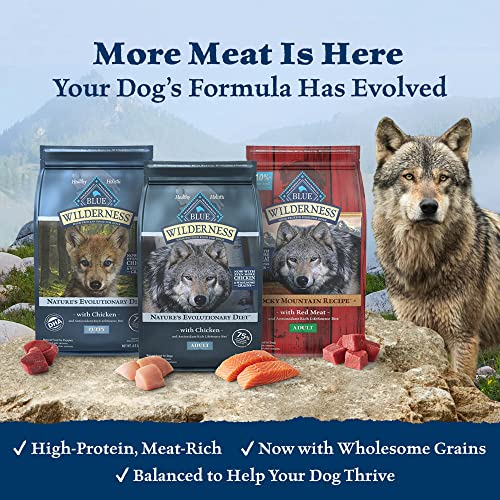 Blue Buffalo Wilderness High-Protein Natural Senior Dry Dog Food  Chicken Recipe  13-lb thumbnail