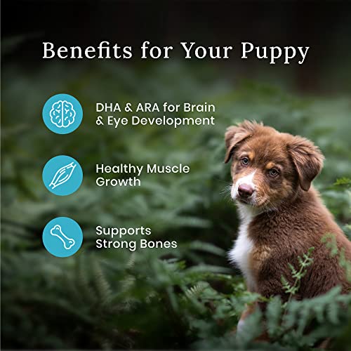 Blue Buffalo Wilderness Natural Puppy Dry Dog Food Plus Wholesome Grains  Chicken  13 Lbs thumbnail