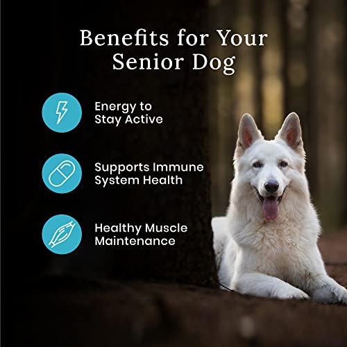 Blue Buffalo Wilderness Senior High Protein Dry Dog Food Plus Wholesome Grains  Chicken  24 Lbs thumbnail