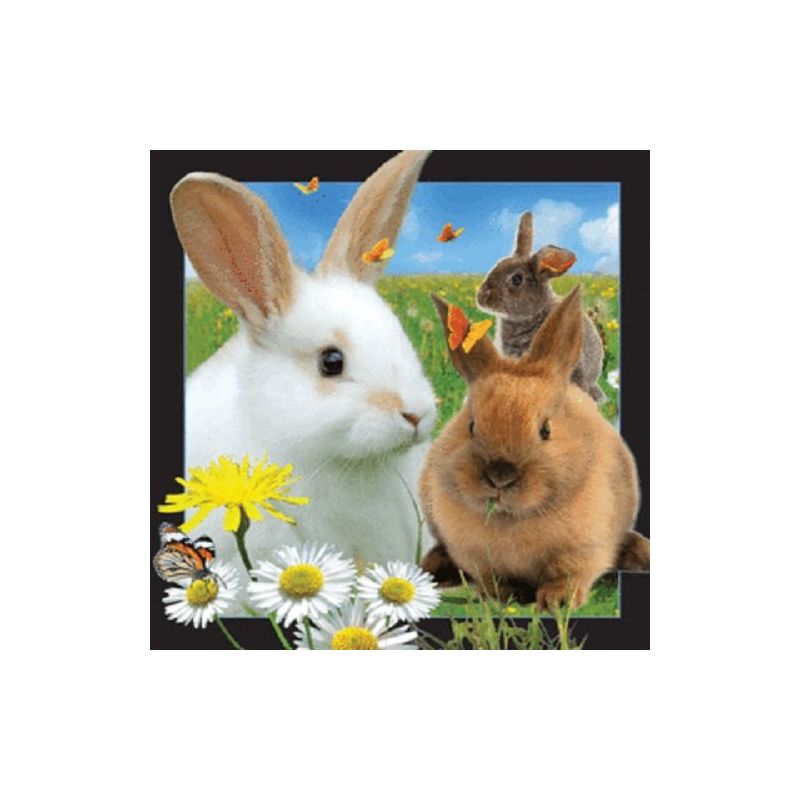 3D Lenticular Magnet - Rabbit - #1021 thumbnail