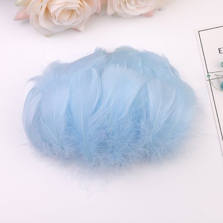 Usupdd New 100pc Colorful Feathers 6-12 Cm in Small Feather DIY Decoration Usupdd WBB220817-6678