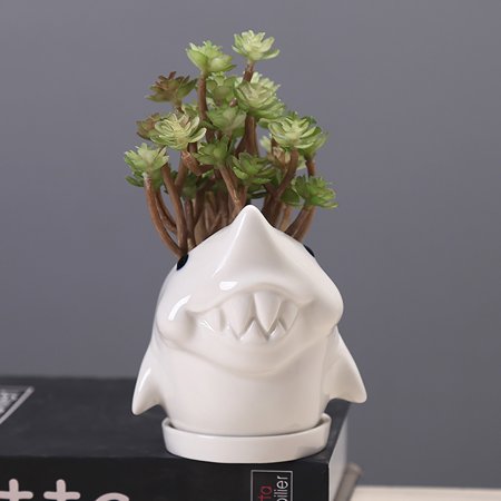 Dolphin Animal Cactus Cartoon Lovely Personality Ornament Ceramic Flowerpot 08HWC15A#26282 2022 the Hot Dolphin Animal Cactus