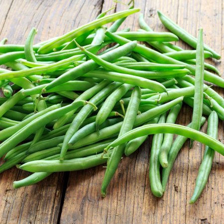 Seeds: Blue Lake Bush Bean -1 Lb- Non-GMO Organic - Green String Bean
