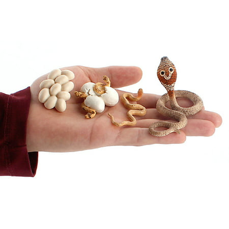Simulation Snake Growth Life Cycle Playset Educational Classroom Toys 912-lj#6249 Car Toys Simulation Snake Growth