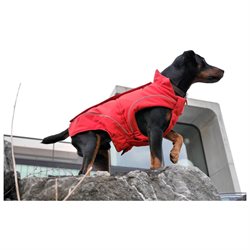 Warm Dog Winter Jackets W/ Fleece Lining Red - Winter Coat for Dogs S/m