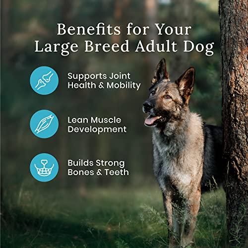 Blue Buffalo Wilderness High-Protein Adult Large Breed Dry Dog Food  Chicken  28-lb thumbnail