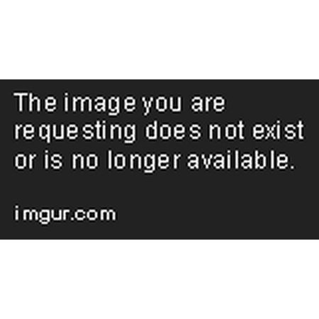Celsius Sugar Free Sparkling Cola Energy Drink  12 Oz [Pack of 12]