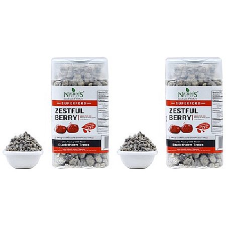 Pack of 2 - Nature S Treat Zestful Berry Sweet and Sour Bits 100% Natural Superfood - 115 Gm (4.05 Oz)