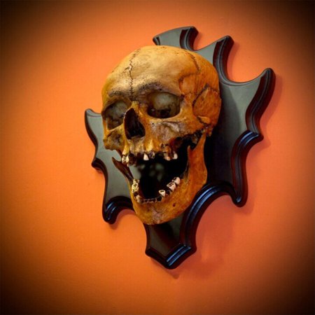 Usupdd Halloween Home Walls Fine Horror Skeleton Night Light Wall Decorations WAA220811-6249