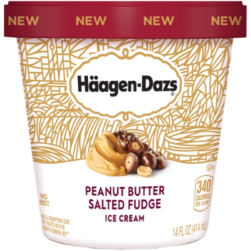 Haagen Dazs Frozen Ice Cream Peanut Butter Salted Chocolate, 14 Fl Oz (frozen)