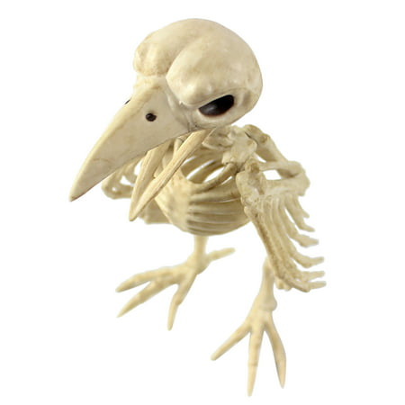 Halloween Skeleton Prop Animal Bones Party Shop Decoration Horror - Uscallm 2022 Colorful H#9303-a-H#9303