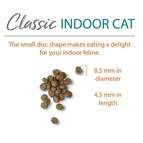 Chicken Soup for the Soul Pet Food - Indoor Cat Food, Chicken & Brown Rice Recipe, 4.5 Lb. Bag | Soy, Corn & Wheat Free, No Artificial Flavors or Pres thumbnail