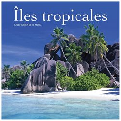 Iles Tropicales Mini Wall Calendar by Wyman Publishing