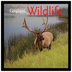 Canadian Geographic Wildlife Wall Calendar by Wyman Publishing