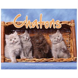 Chatons Double Easel Calendar (french) by Wyman Publishing
