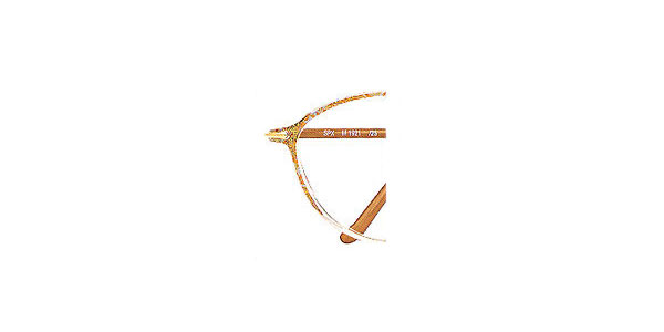 Silhouette Eyeglasses 1921 6051