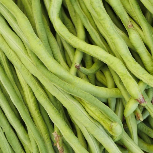 Seeds: California Black-Eye Bush Beans -50 Lb Bulk- Non-GMO Heirloom