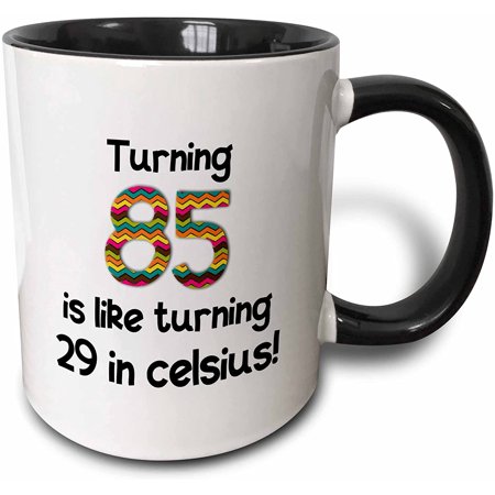3dRose 85 Is Like Turning 29 in Celsius-Humorous 85Th Birthday Gift Two Tone Mug  11 Oz  Black