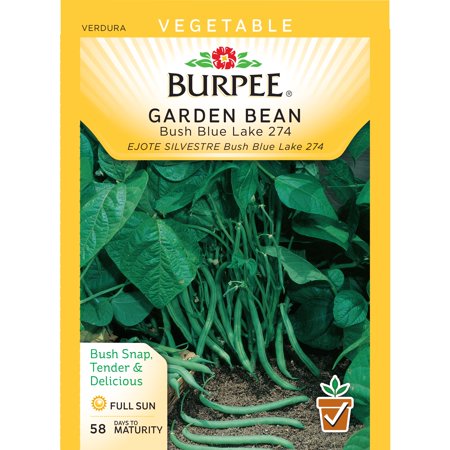 Burpee-Bean, Bush Blue Lake 274 Seed Packet