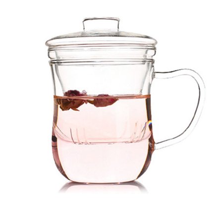 12 Fl Oz Glass Tea Cup Mug Set with Lid and Infuser  Heat-resistant Glass Teapot Water Drinking Bottle
