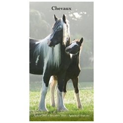 Chevaux 2 Year Pocket Planner (french) by Wyman Publishing
