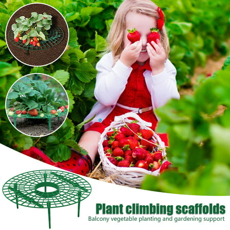 Usupdd Strawberry Plant Growth Support Prevents Strawberry Rot 3PC Support Usupdd WEE220816-7681