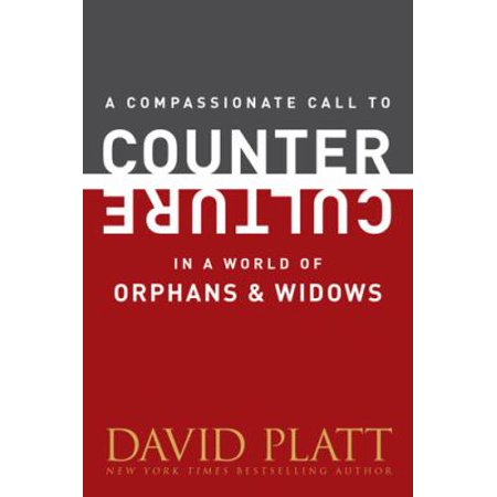A Compassionate Call to Counter Culture in a World of Orphans and Widows 1496404971 (Paperback - Used)