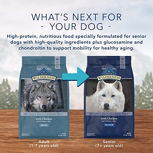 Blue Buffalo Wilderness High Protein, Natural Adult Dry Dog Food, Duck 4.5-lb thumbnail