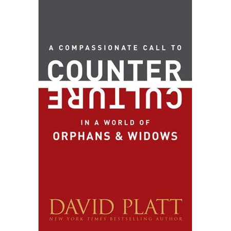 A Compassionate Call to Counter Culture in a World of Orphans and Widows Paperback - USED - VERY GOOD Condition