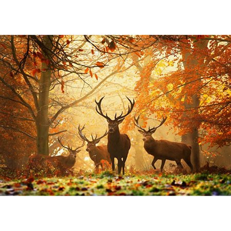 MIANHT 5D Deer Embroidery Paintings Rhinestone Pasted DIY Diamond Painting - 2022 5D Deer Embroidery N-#4962