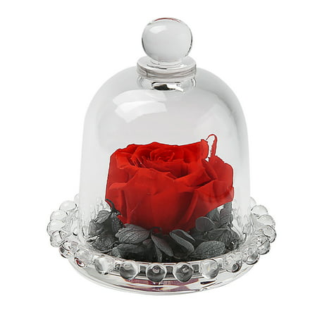 Zpj1#2511 Endless Preserved Roses Flower in Glass Romantic Gift Z#2511 SA9