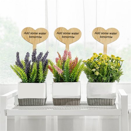 30PC Wooden Plant Sign Plant Stake Label Inserted Into Flower Jar Label Decorative Crafts 10ml Pen - 2022 New Toys 30PC Wooden Plant a-a#23191