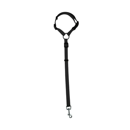 Usupdd Pet Car Safety Rope Ring Dog Car Safety Belt Rear Traction Belt Traction Rope - 2022 New Toys Pet Car Safety a-a#9303 New 20220912-9303