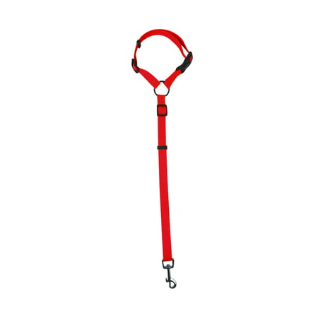 Usupdd Pet Car Safety Rope Ring Dog Car Safety Belt Rear Traction Belt Traction Rope - 2022 New Toys Pet Car Safety a-a#9306 New 20220912-9306