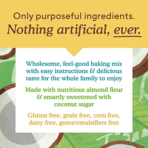 Simple Mills Almond Flour Baking Mix  Pumpkin Muffin & Bread Mix - Gluten Free  Plant Based  Paleo Friendly  9 Ounce (Pack of 1) thumbnail