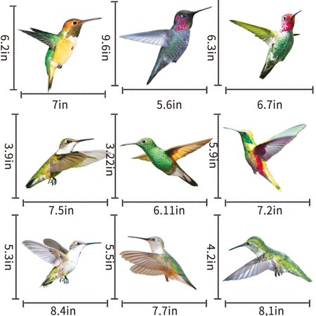 FengLS Hummingbird Window Clings Anti-Collision Window Clings Decals to Prevent Bird Strikes on Window Glass 09-Kitchen-12A#4888 Home Kitchen MYFHummi